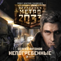 Аудиокнига Метро 2033 Непогребенные Сергей Антонов